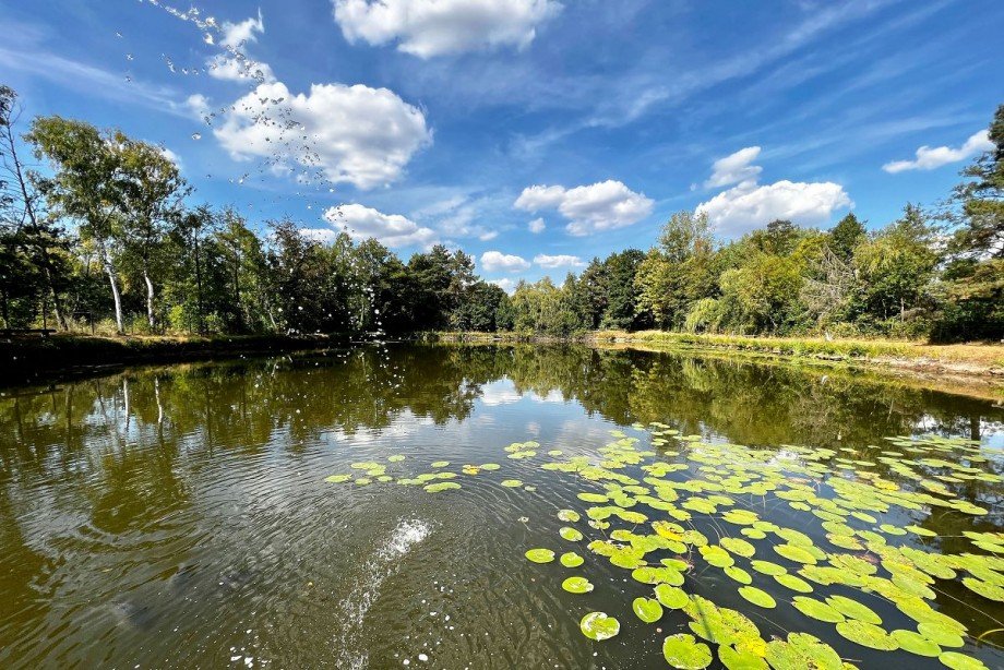 Teich Grundst�ck Rhede