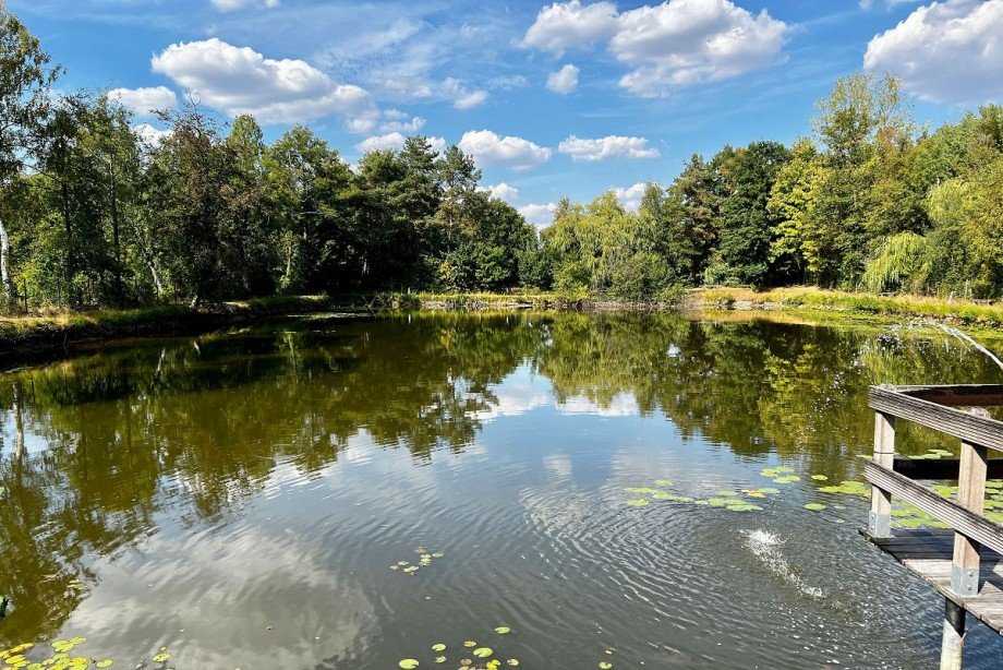 Teich Grundst�ck Rhede