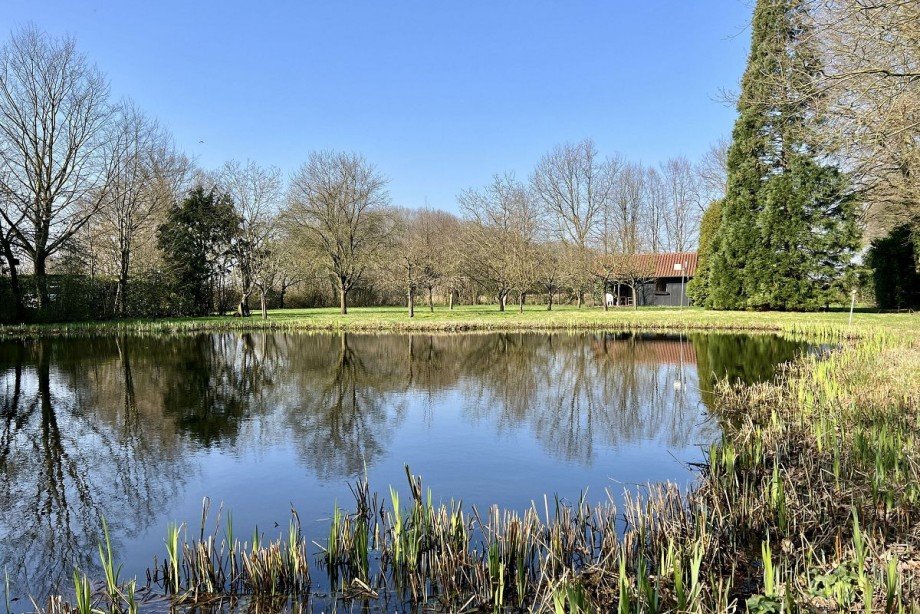 Teich Grundst�ck Bocholt