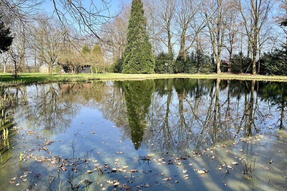 Teich Grundst�ck Bocholt