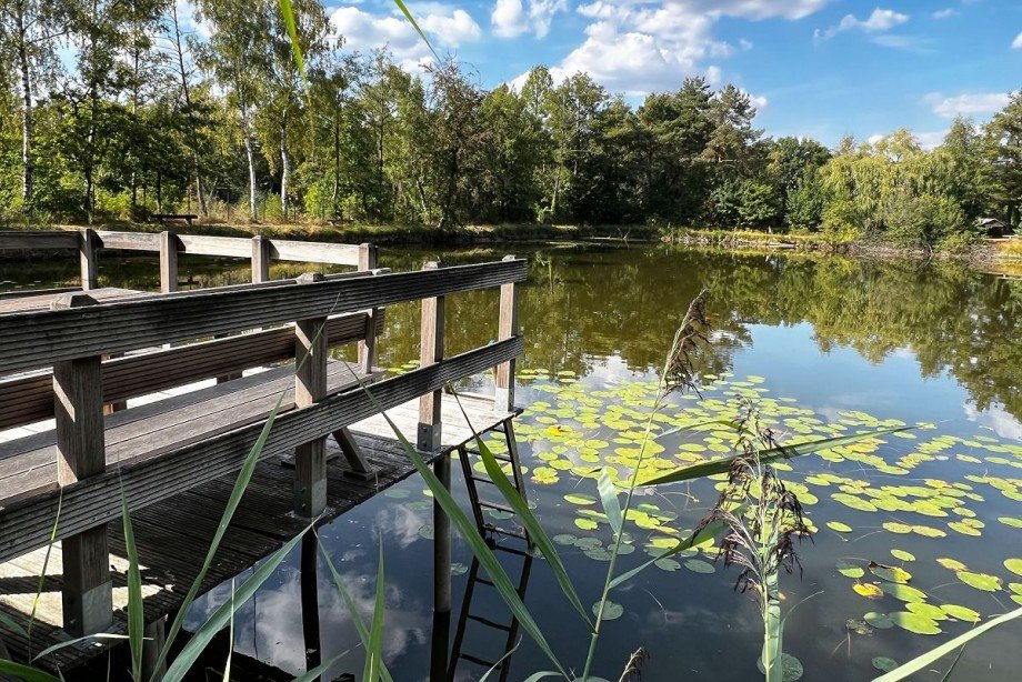 Steg - Teich Grundst�ck Rhede