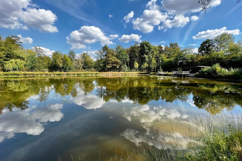 Teich - Holzhaus Grundst�ck Rhede