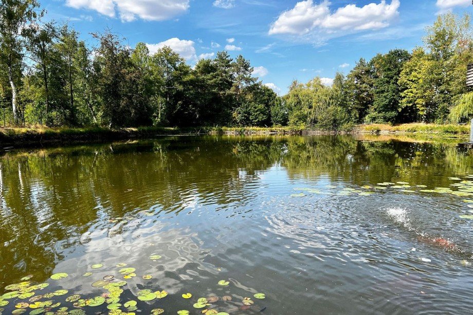 Teich Grundst�ck Rhede