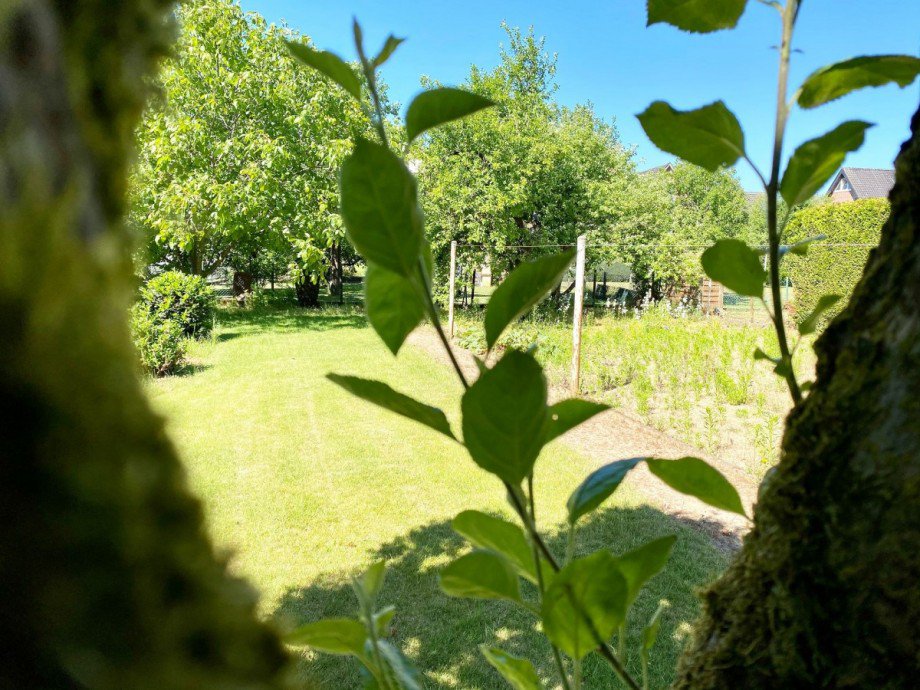 ... XL Garten Einfamilienhaus Bocholt