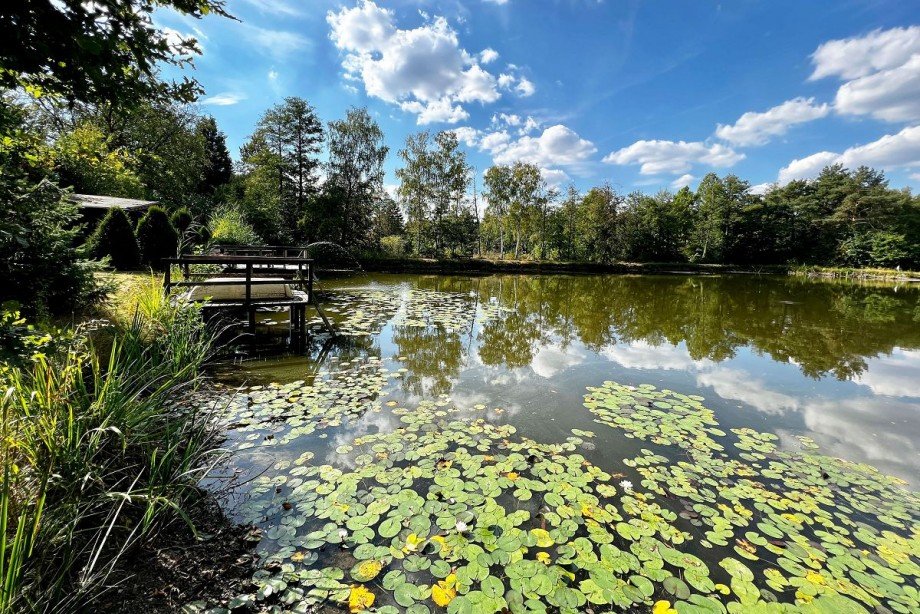 Teich - Steg Grundst�ck Rhede
