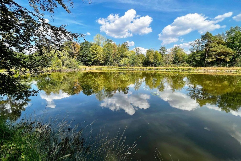 Teich Grundst�ck Rhede